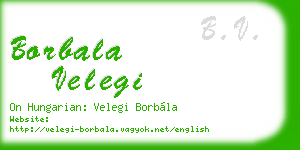 borbala velegi business card
