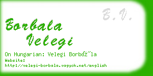 borbala velegi business card